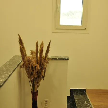 Tatil Evi Oxana Limenas (Thasos)